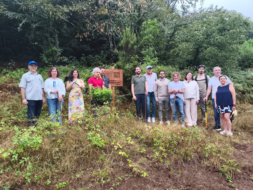 Actividad de reforestación